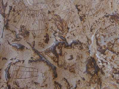 Ma nell�intricato insieme di simboli compaiono anche �griglie�, recinti, catene di losanghe, zigzag, frecce, stelle a cinque punte, segni cruciformi e diversi animali